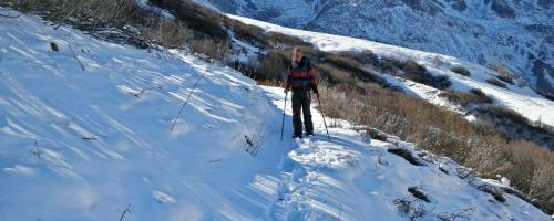 Snowshoeing