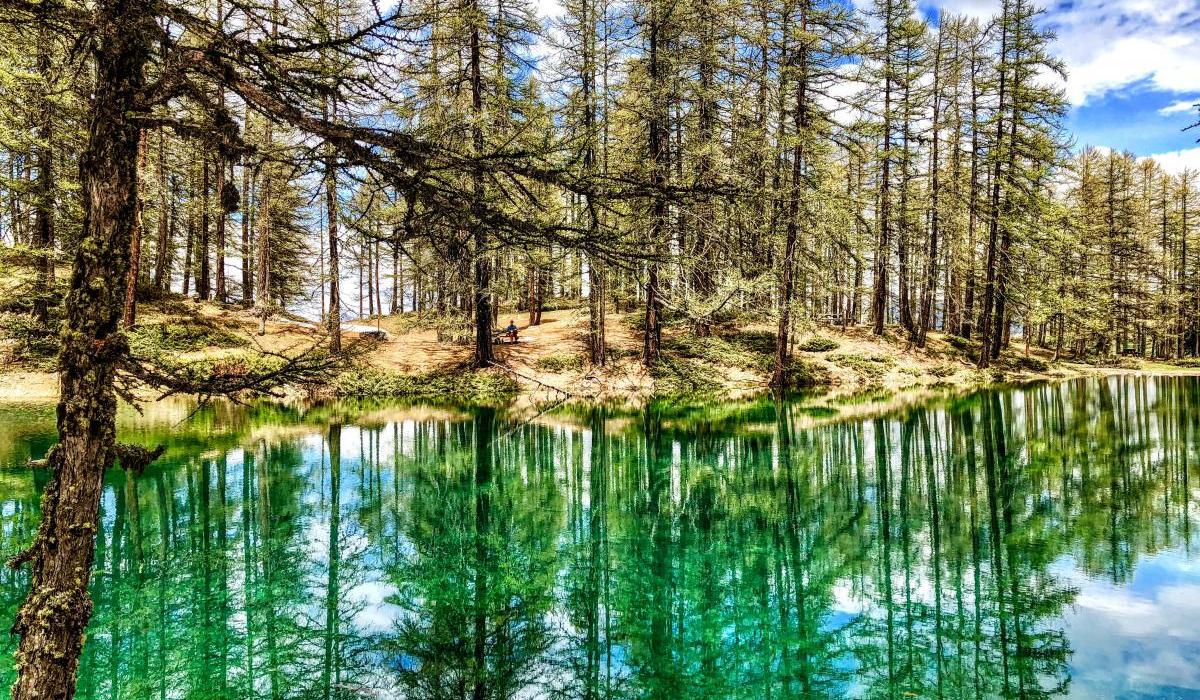 Lake In Risoul Forest