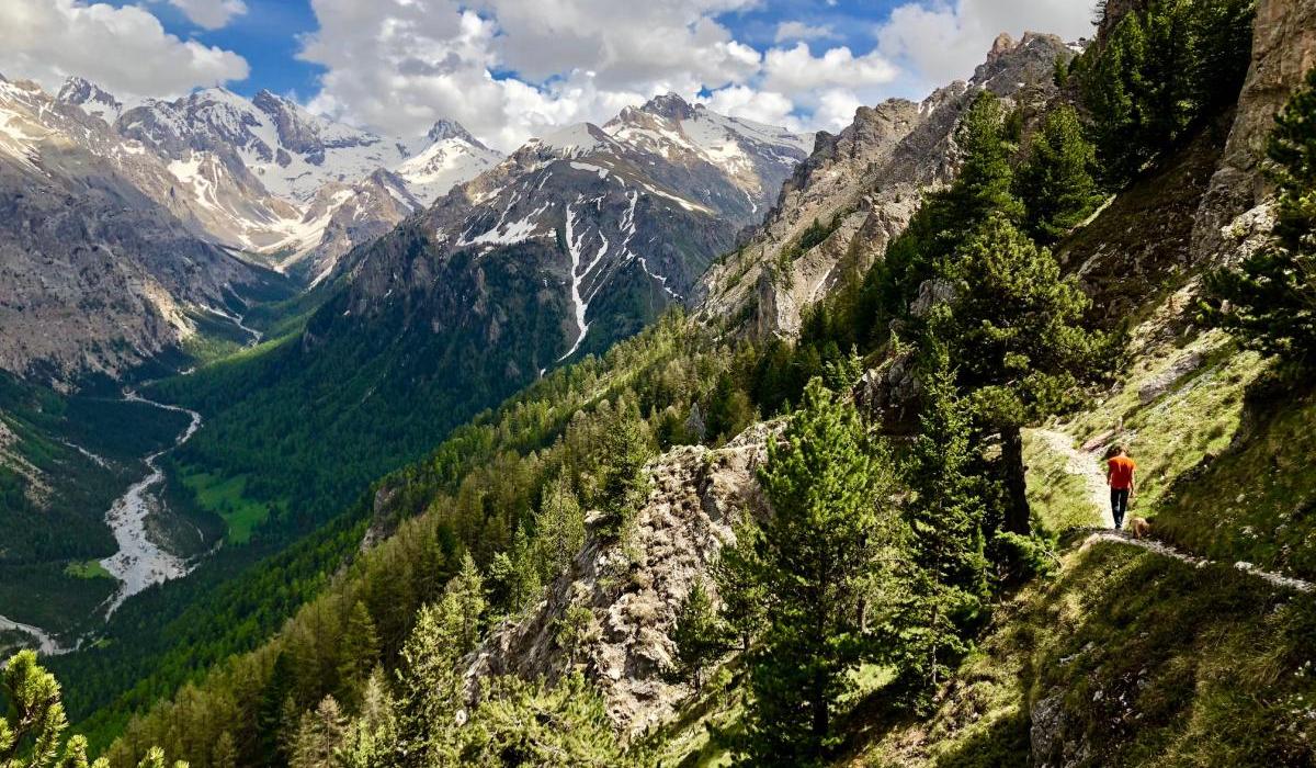 Nature reserve Val d' Escreins